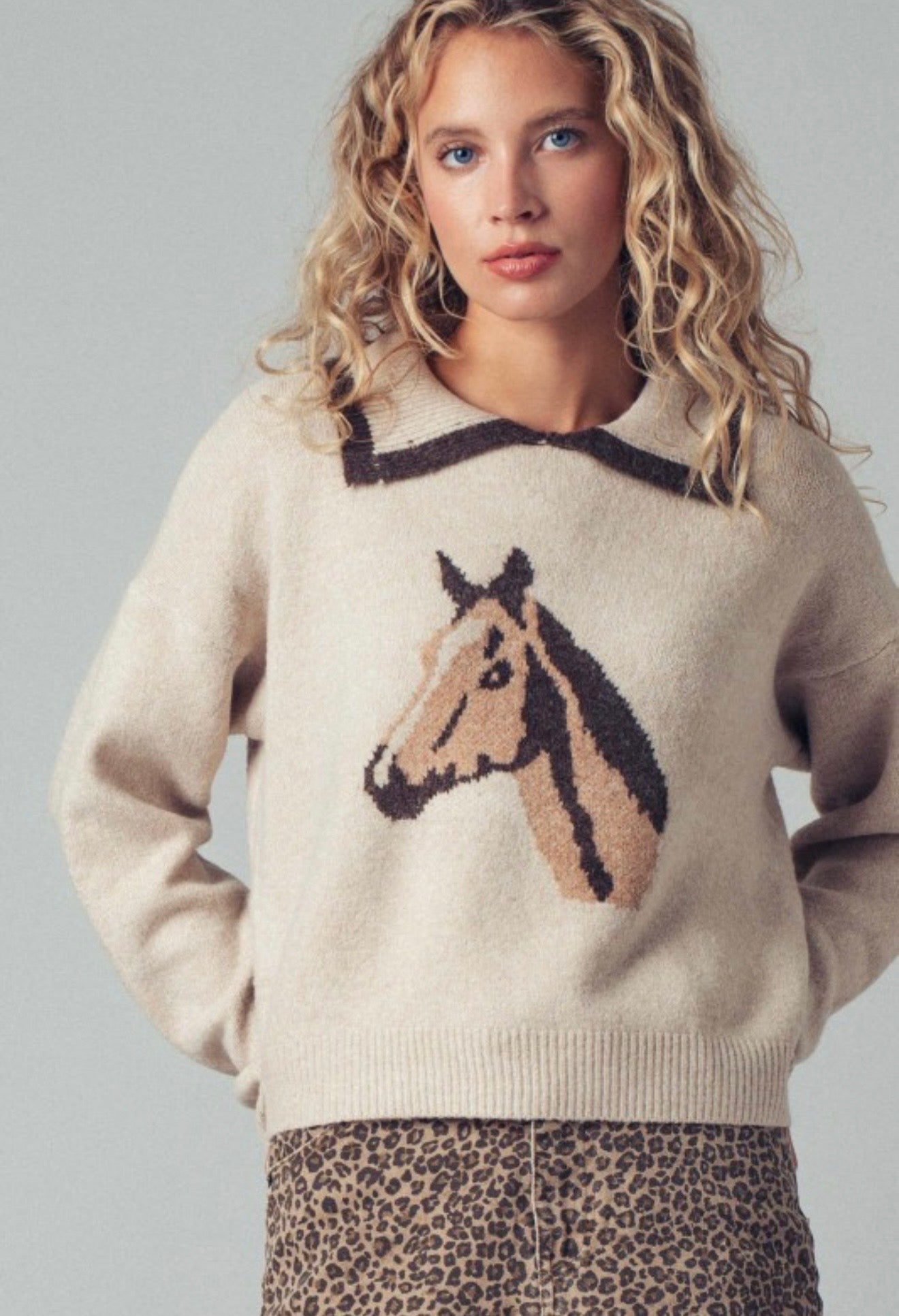 HORSE GRAPHIC SWEATER